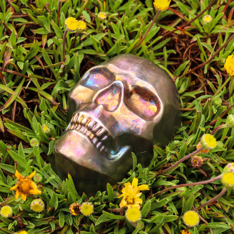 Bismuth Hollow Skull Crystal Skull Aquarius