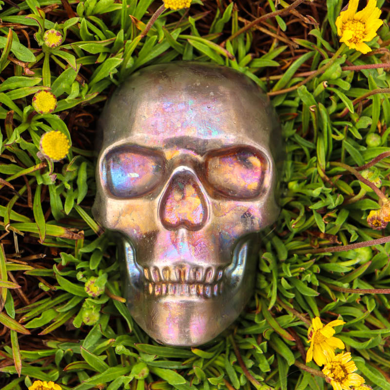 Bismuth Hollow Skull Crystal Skull Aquarius