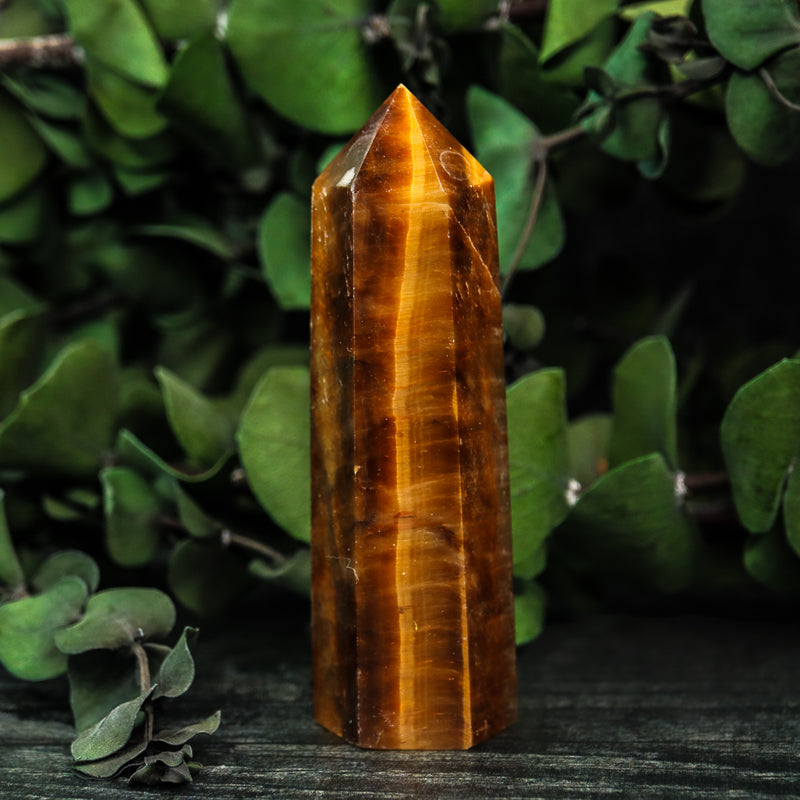 Tiger's Eye Point