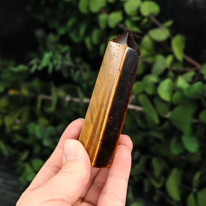 Tiger's Eye Point