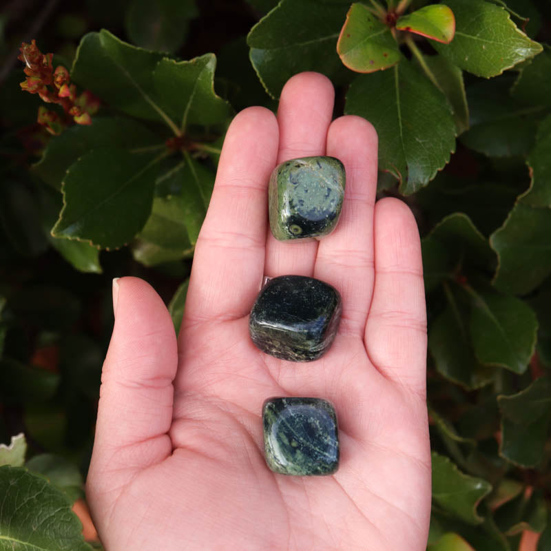 Kambaba Jasper Tumbled Crystal Tumbled Cancer Sign