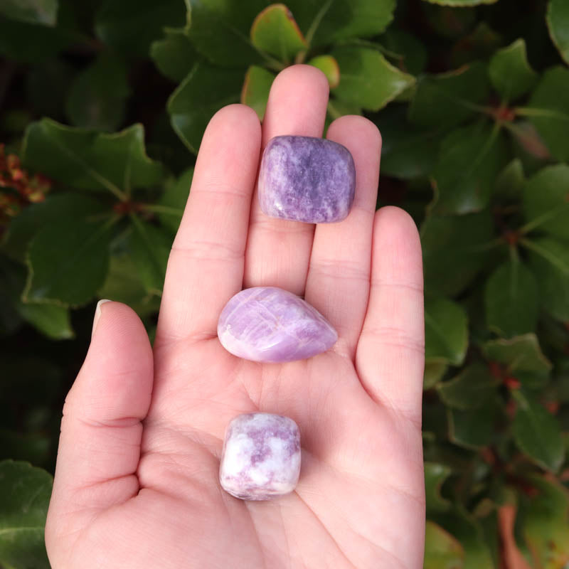 Lepidolite Tumbled Crystal Tumbled Crystal Magic