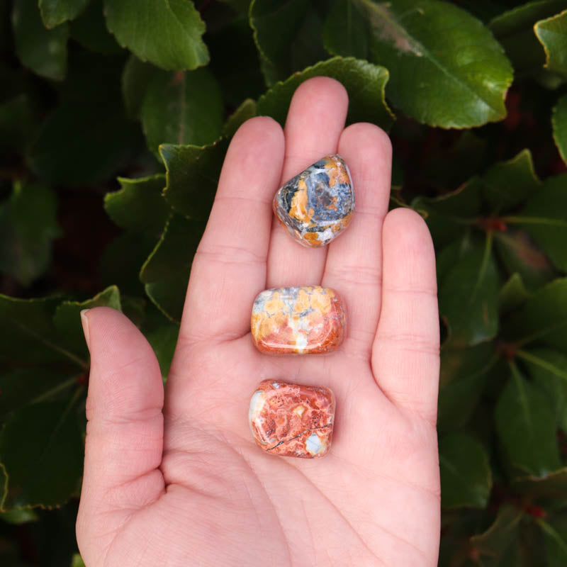 Maligano Jasper Tumbled Crystal Tumbled Crystal Magic online