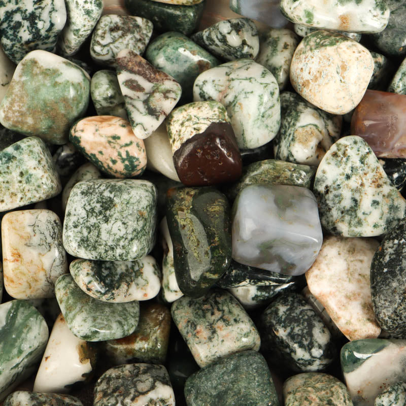 Moss Agate Tumbled Crystal Tumbled Crystal Magic