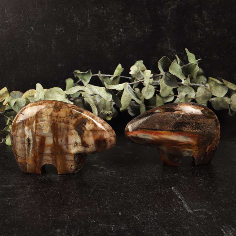 Petrified Wood Bear Crystal Carvings Crystal Magic