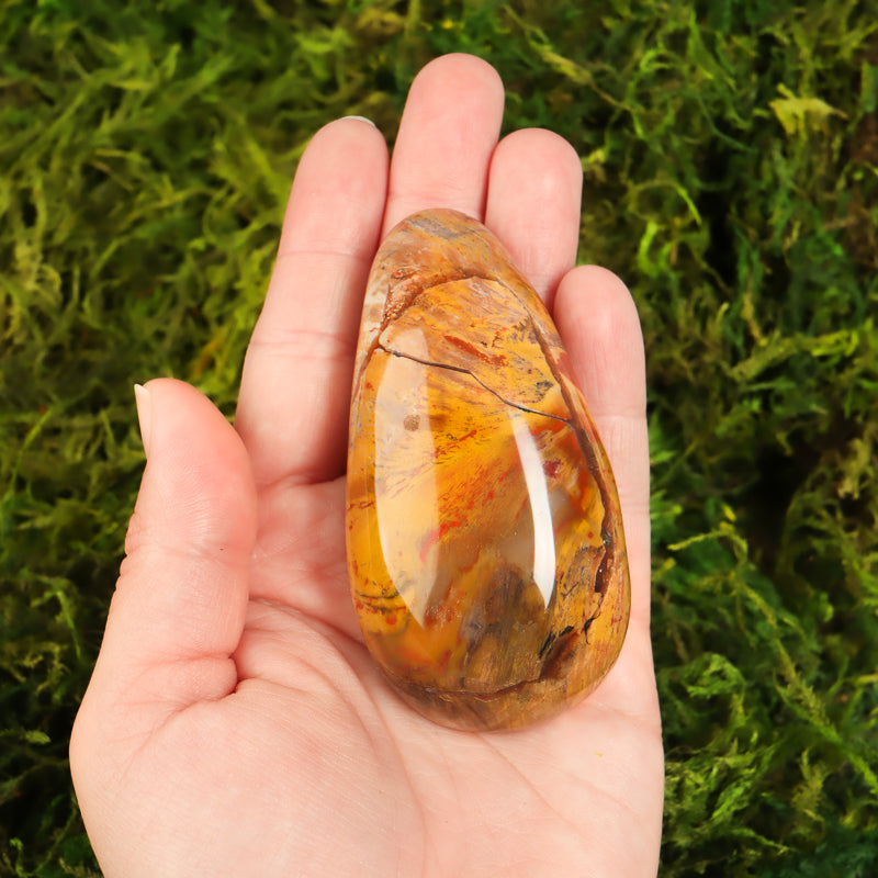 Petrified Wood Thumb Massage Wand Crystal Wand Crystal Magic