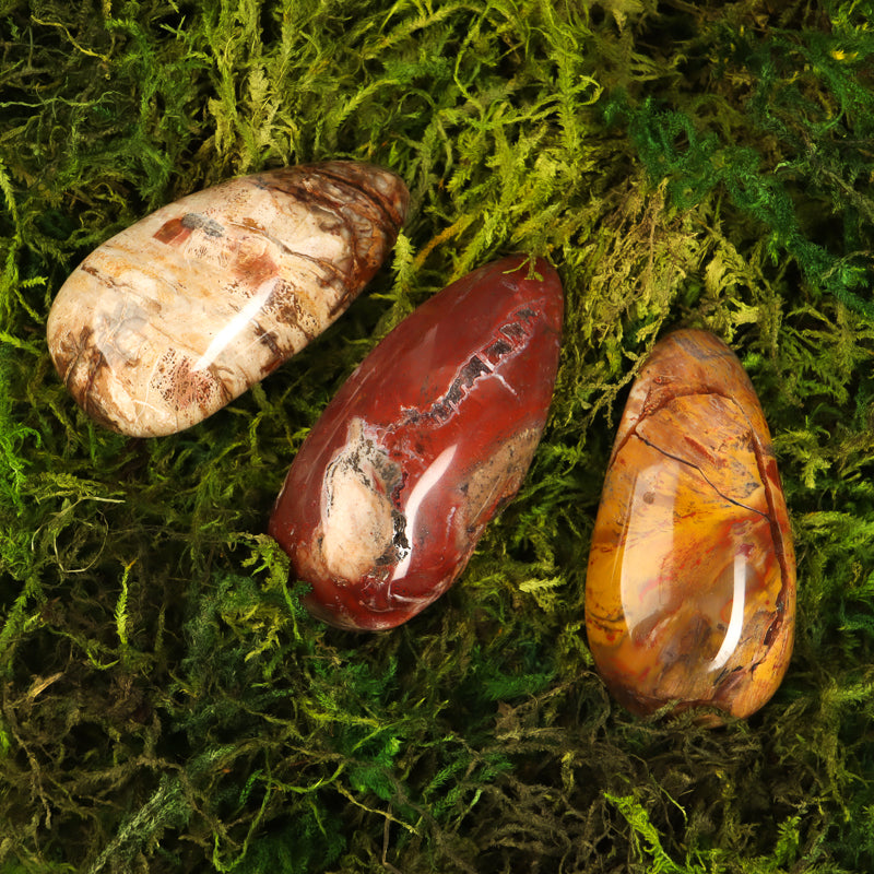 Petrified Wood Thumb Massage Wand Crystal Wand Crystal Magic