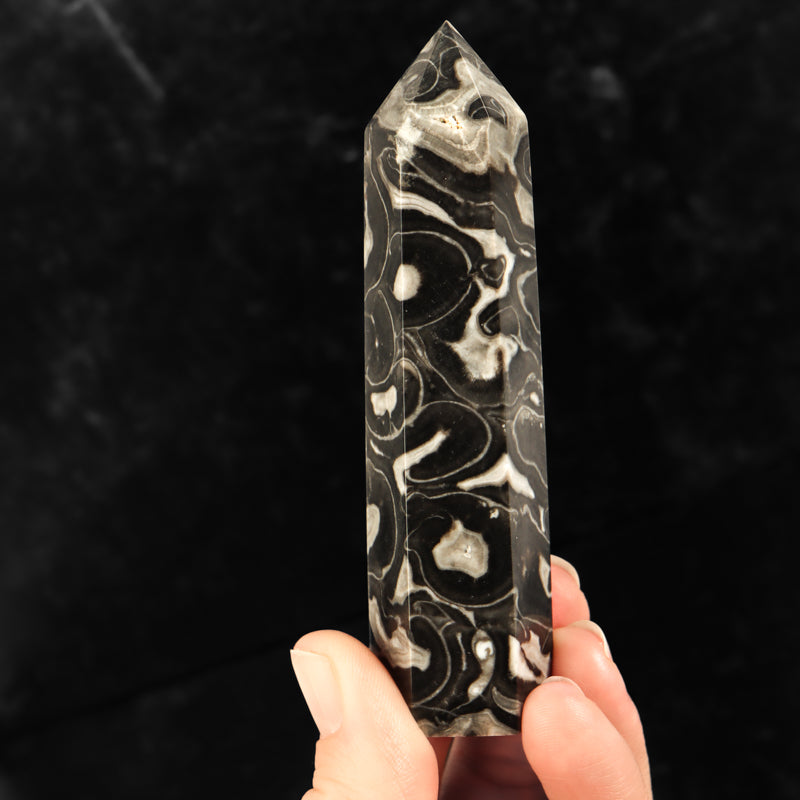 Picasso Jasper Point Crystal Point Crystal Magic online Large 