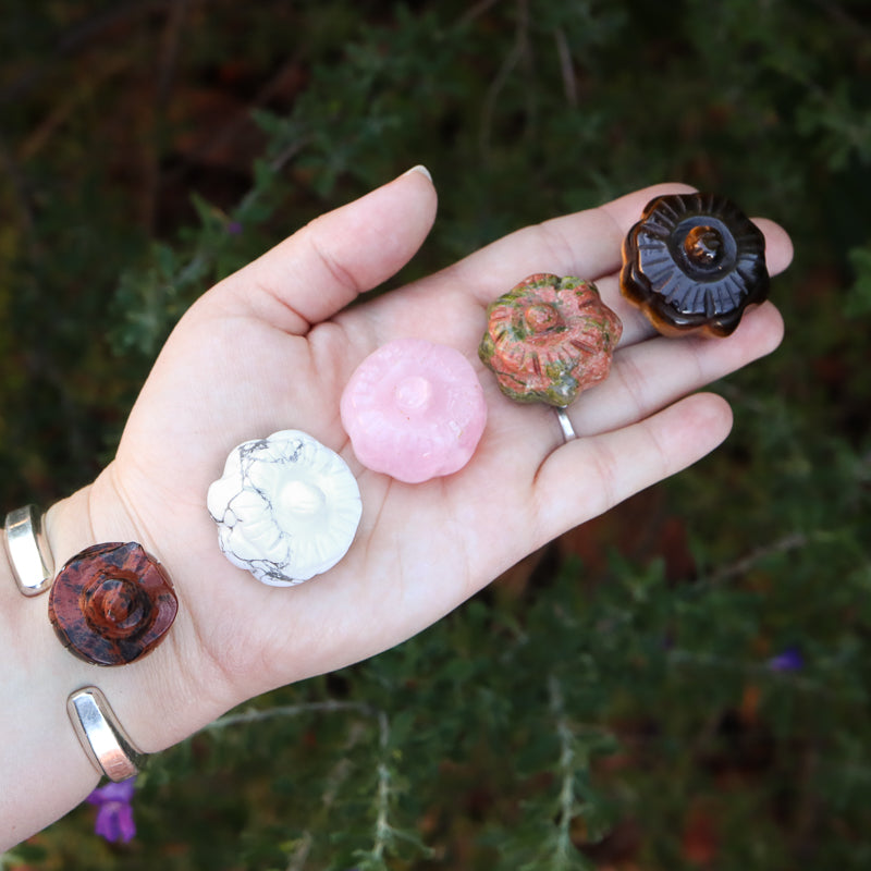 Mini Pumpkin Carving