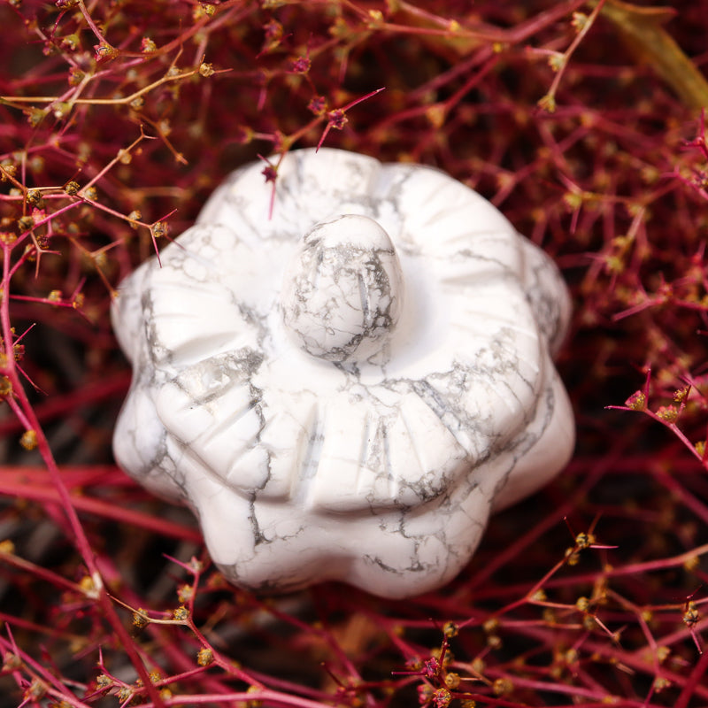 Mini Pumpkin Carving