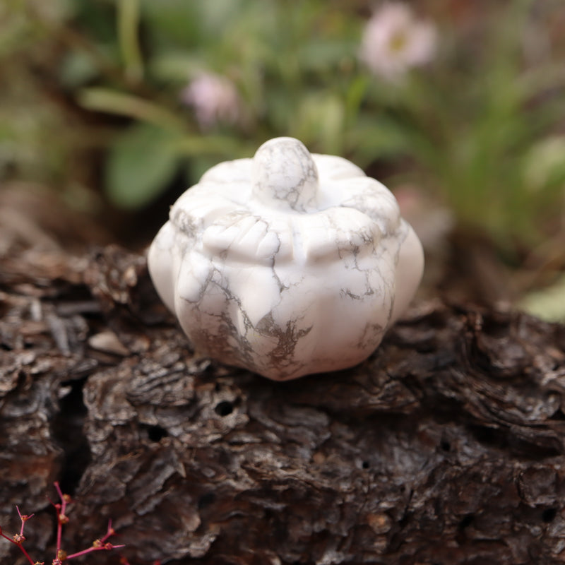 Mini Pumpkin Carving