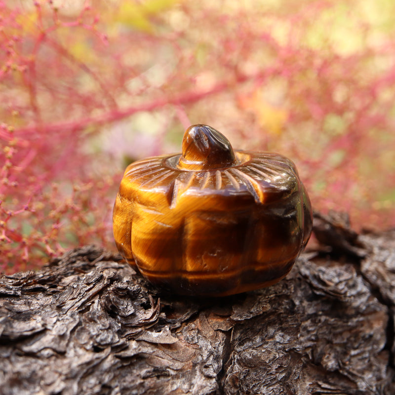 Mini Pumpkin Carving