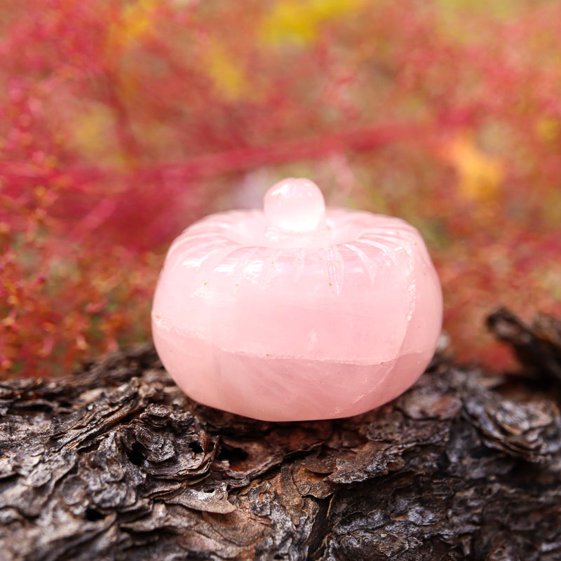 Mini Pumpkin Carving