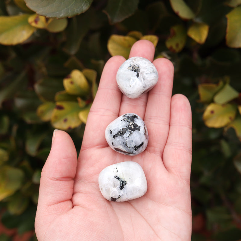 Moonstone Tumbled Crystal Tumbled Cancer Sign Rainbow Moonstone