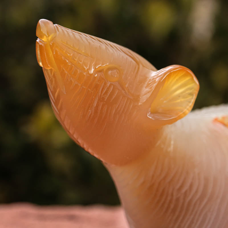 Agate Rat Crystal Carvings Crystal Magic