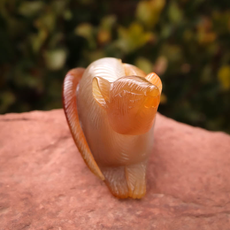 Agate Rat Crystal Carvings Crystal Magic