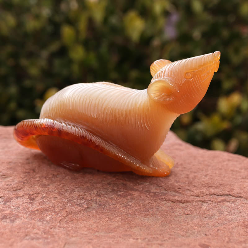 Agate Rat Crystal Carvings Crystal Magic