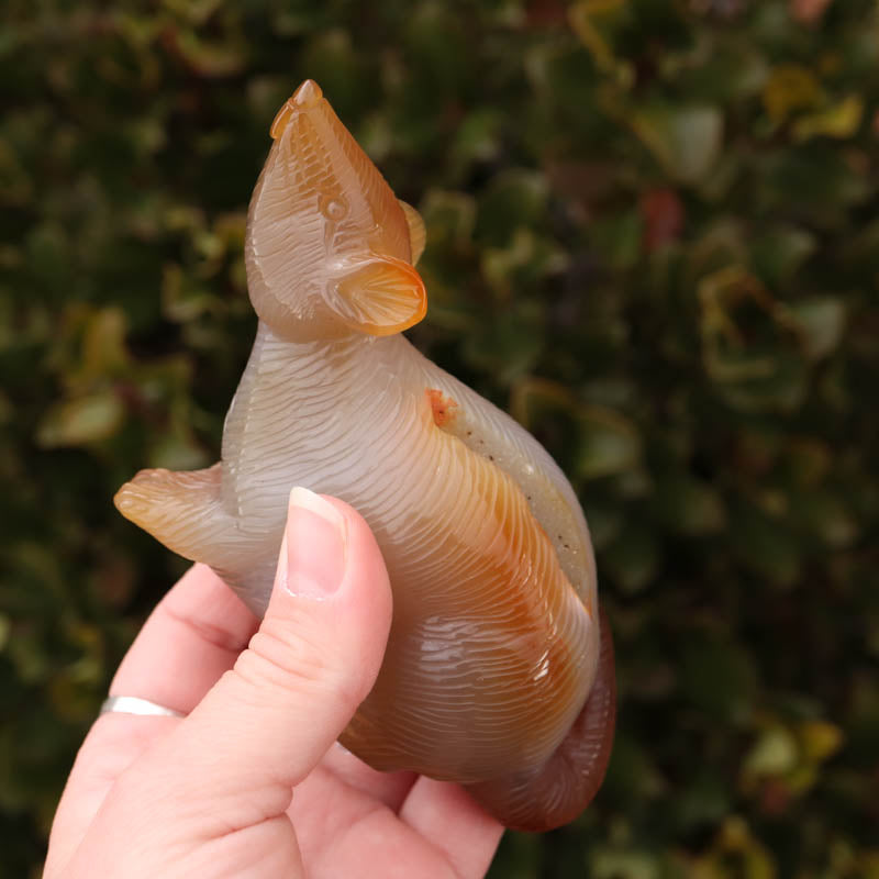 Agate Rat Crystal Carvings Crystal Magic