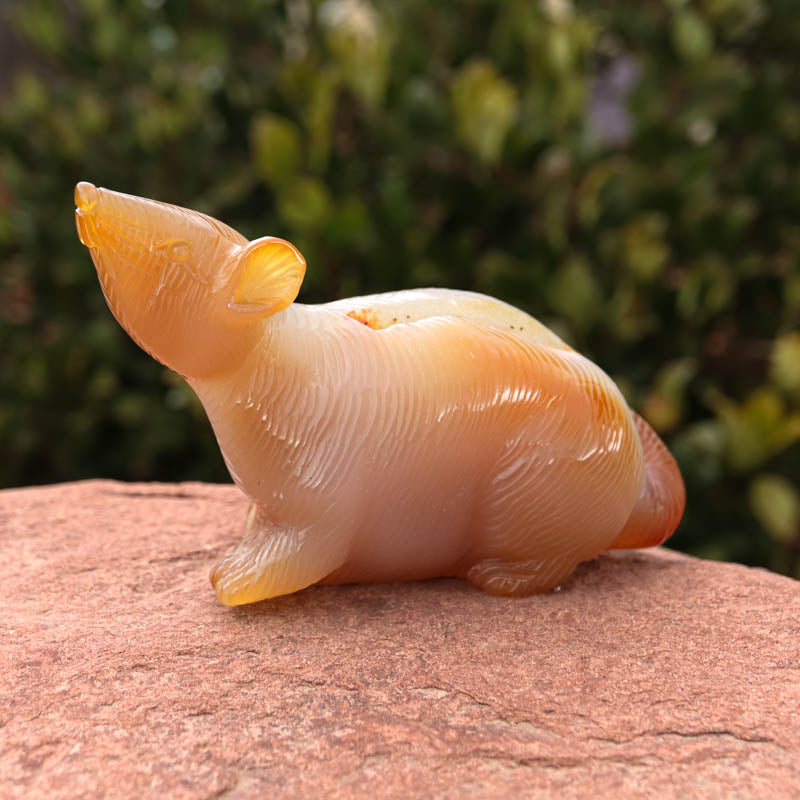 Agate Rat Crystal Carvings Crystal Magic