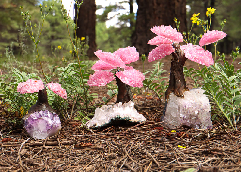 Rose Quartz Bonsai Tree