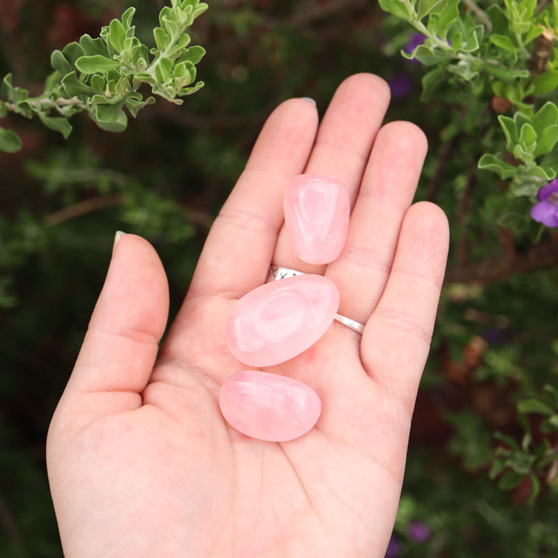 Rose Quartz Tumbled