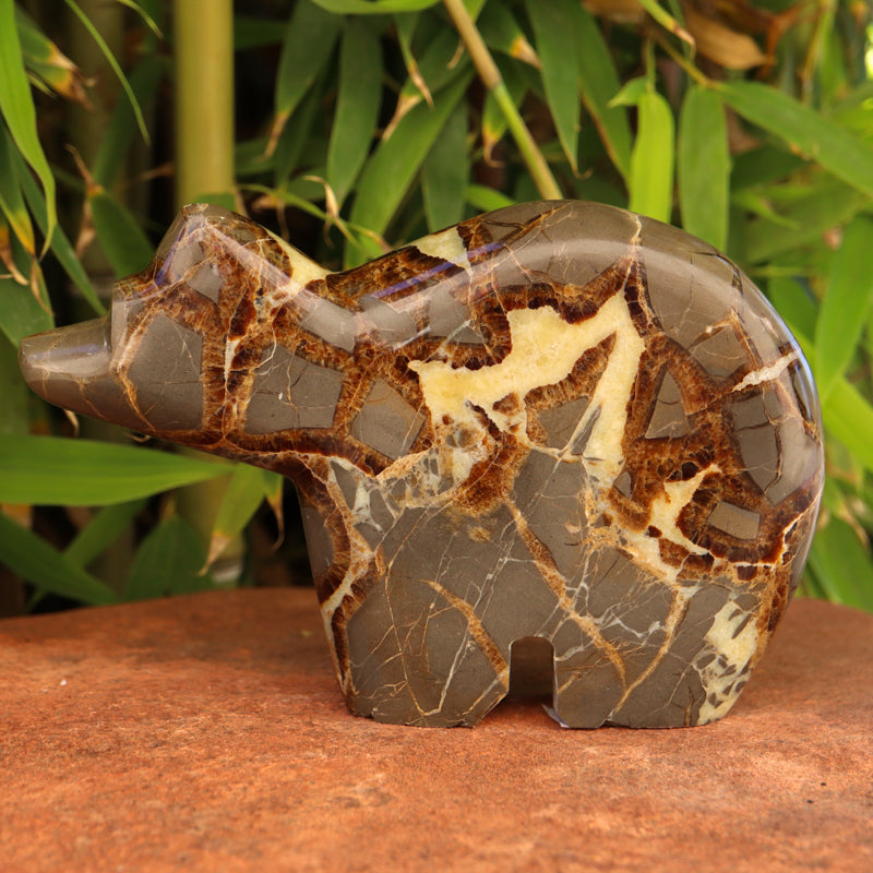 Large Septarian Bear with Geode Crystal Carvings Crystal Magic