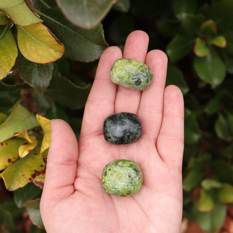 Serpentine Tumbled Crystal Tumbled Crystal Magic