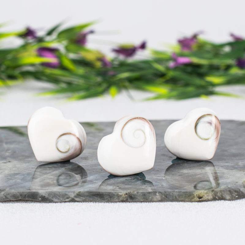 Shiva Shell Heart Crystal Heart Crystal Magic