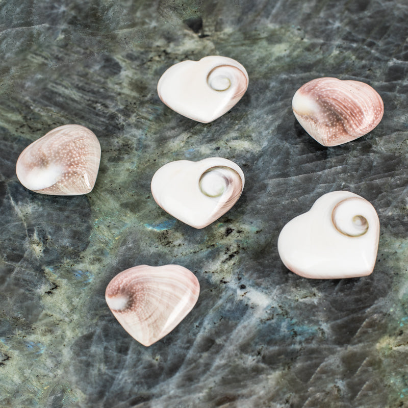 Shiva Shell Heart Crystal Heart Crystal Magic