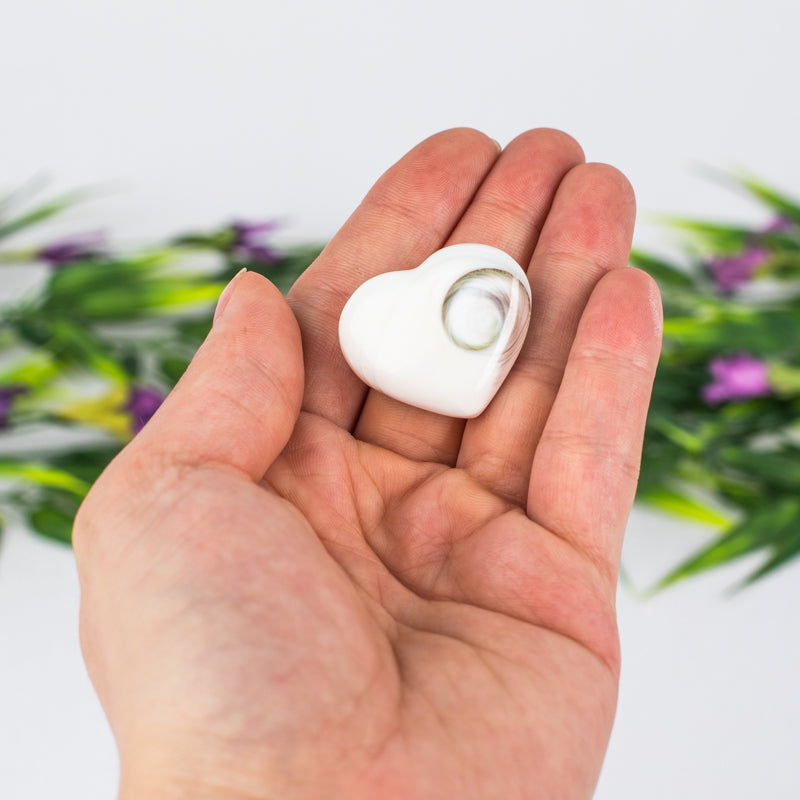 Shiva Shell Heart Crystal Heart Crystal Magic