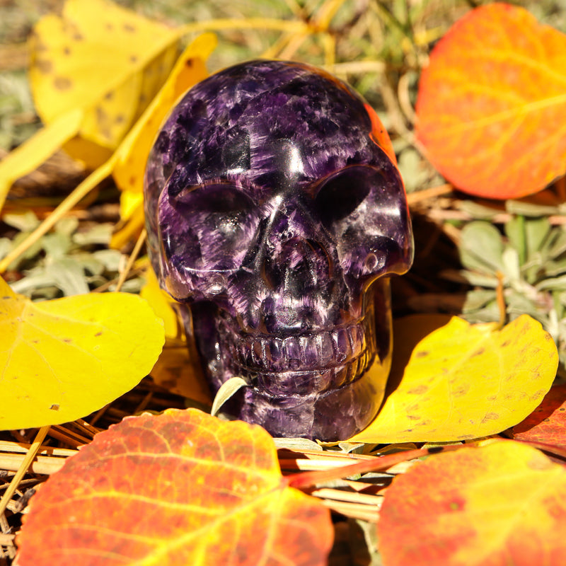 Amethyst Chevron Skull