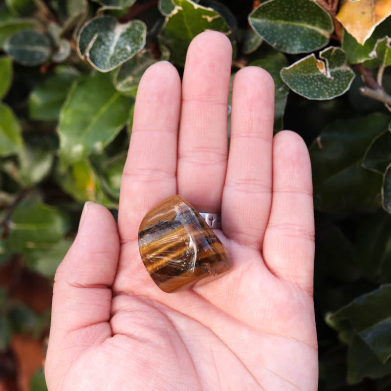 Golden Tiger's Eye Tumbled Crystal Tumbled Crystal Magic
