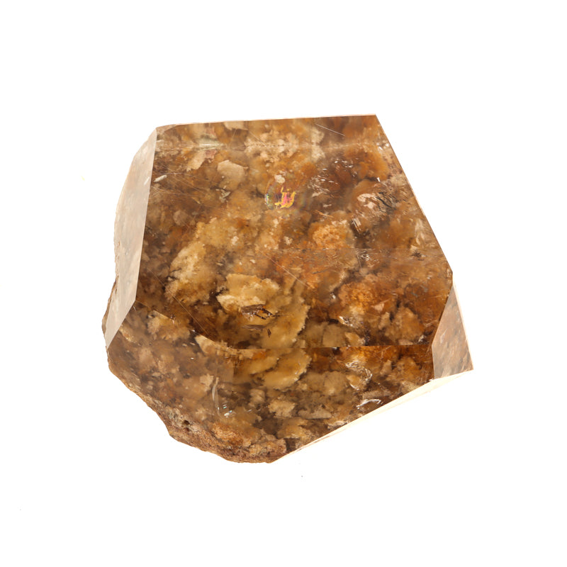 Polished Gold Rutilated Smoky Lodolite Crystal Magic