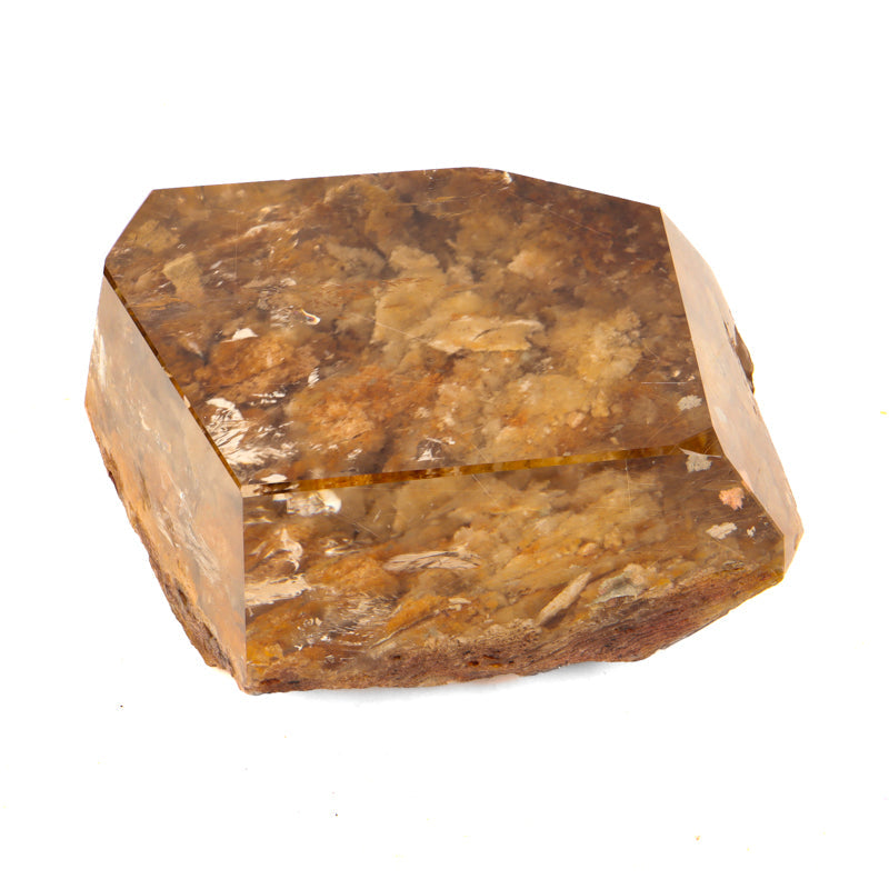 Polished Gold Rutilated Smoky Lodolite Crystal Magic