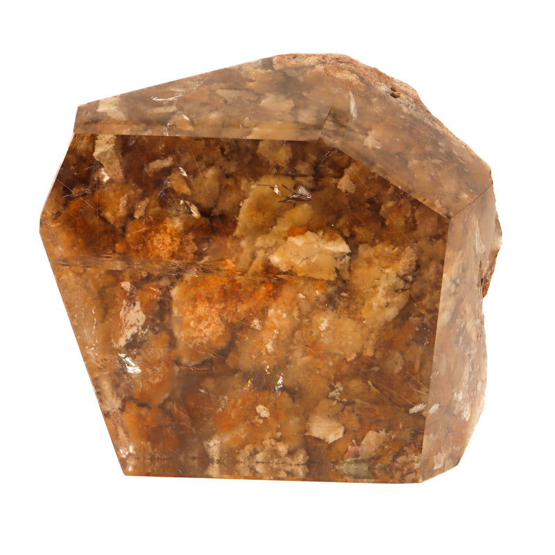 Polished Gold Rutilated Smoky Lodolite Crystal Magic