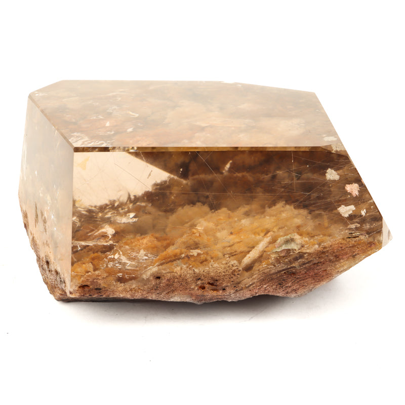 Polished Gold Rutilated Smoky Lodolite Crystal Magic