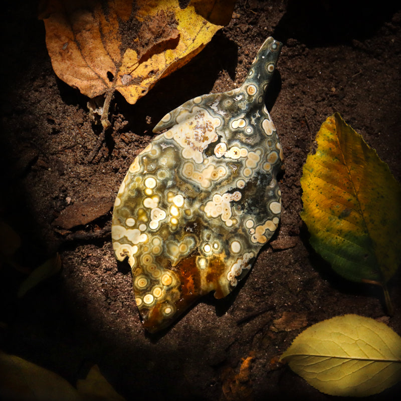 Ocean Jasper Leaf Crystal Carvings Crystal Magic