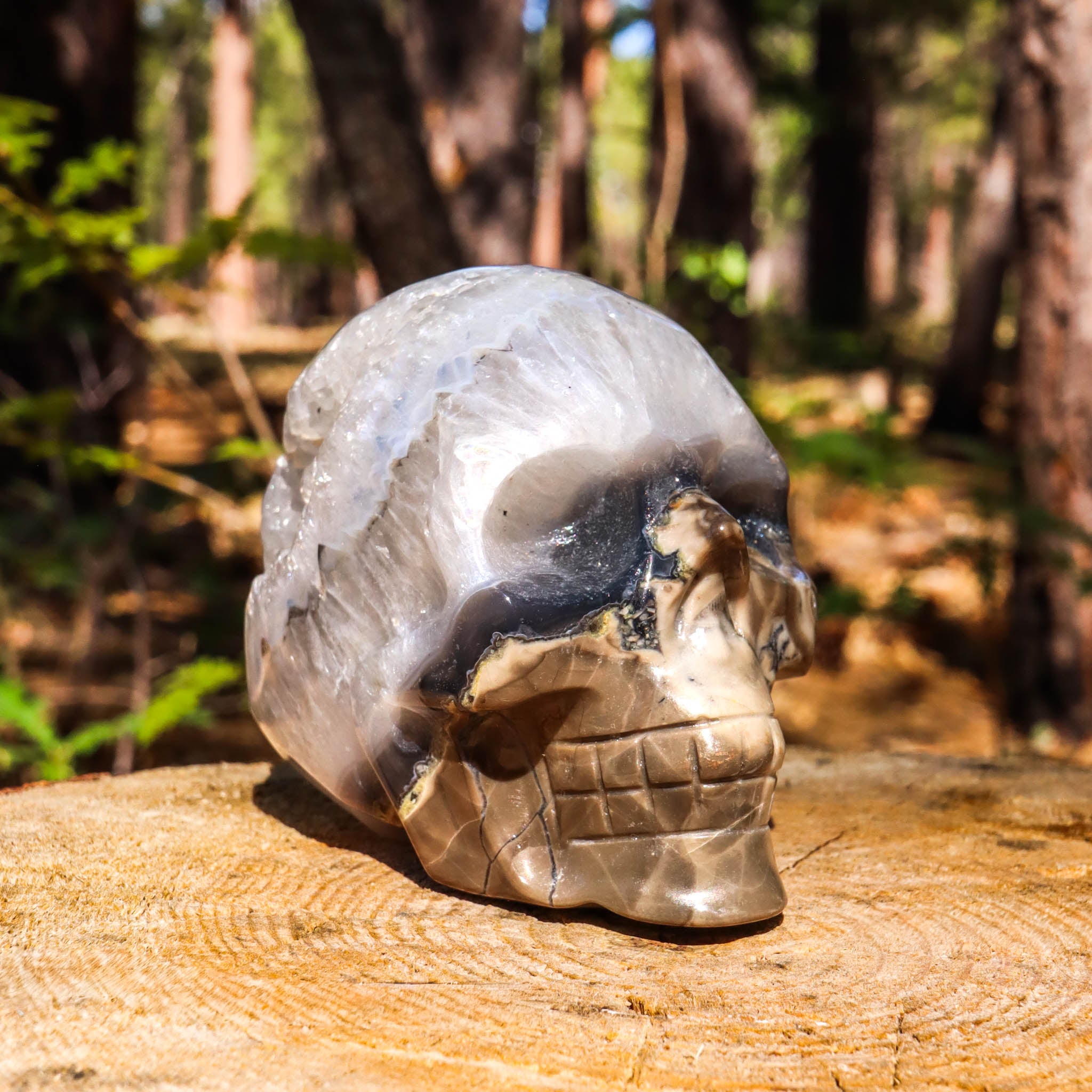 Clear Quartz Skull with Agate