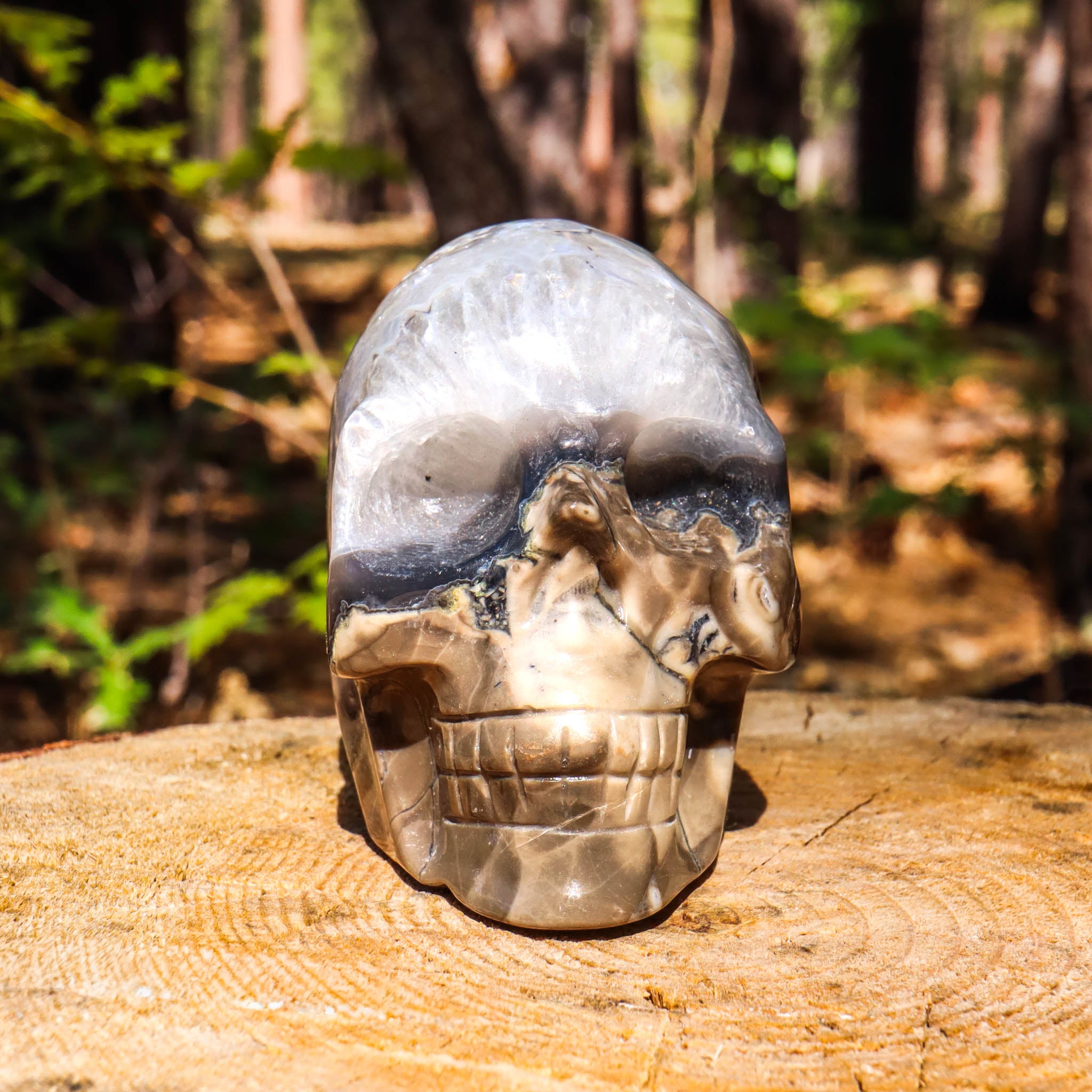 Clear Quartz Skull with Agate