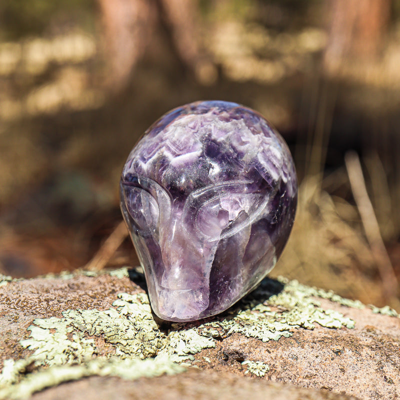 Amethyst Chevron Carved Alien Skull