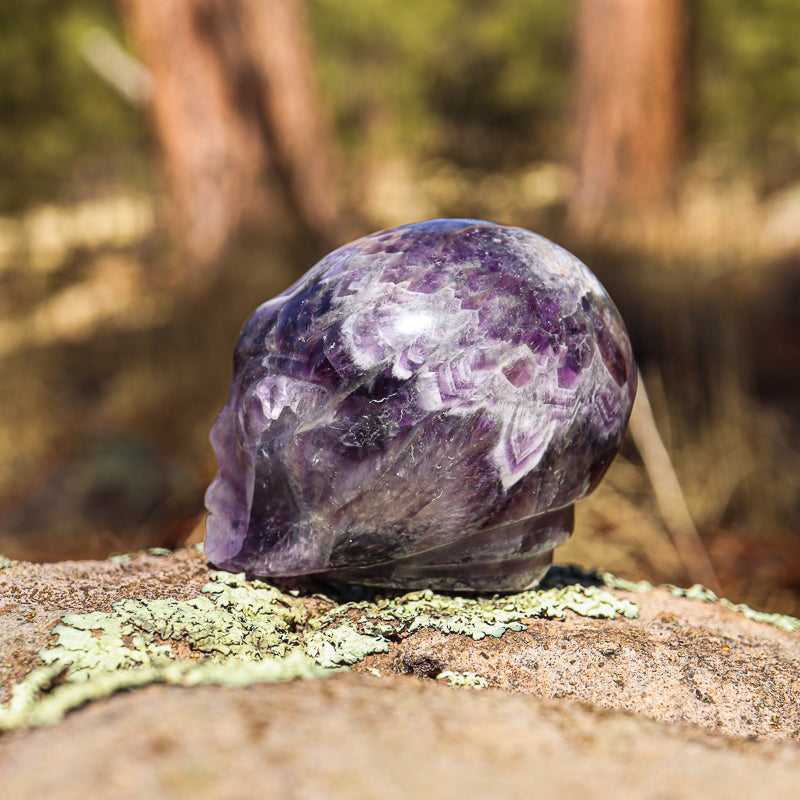 Amethyst Chevron Carved Alien Skull