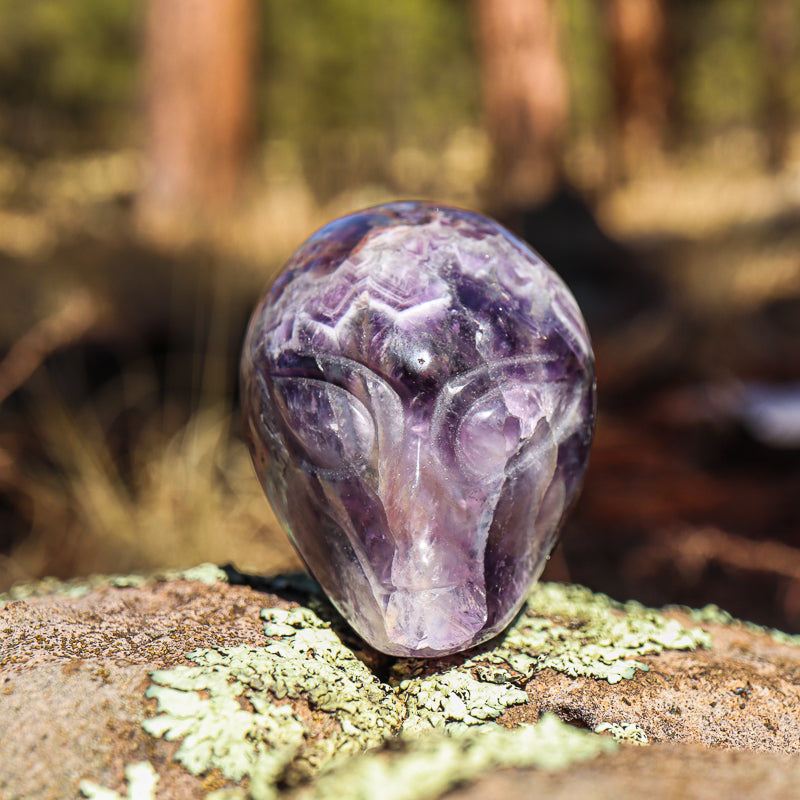 Amethyst Chevron Carved Alien Skull