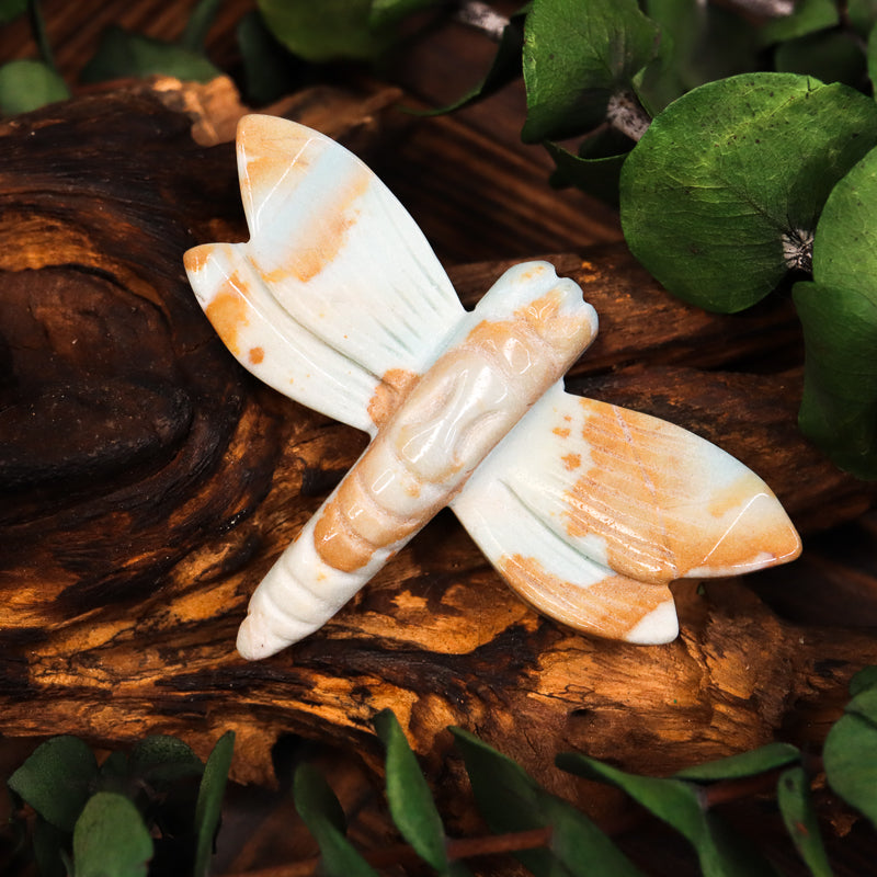 Caribbean Calcite Carved Dragonfly