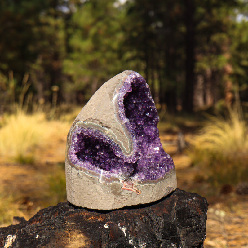 Amethyst Geode