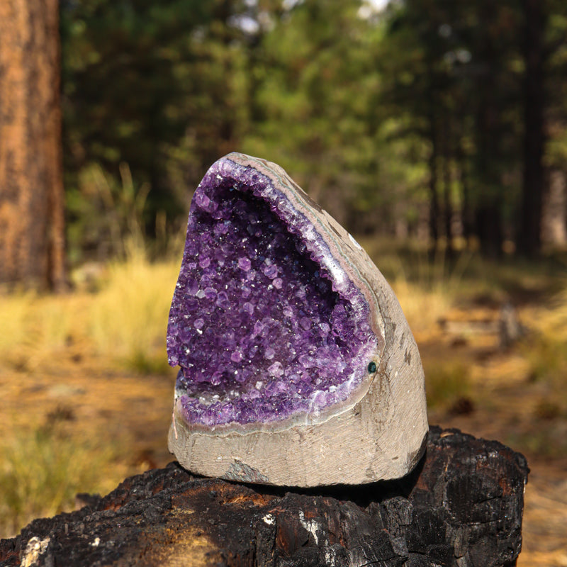 Amethyst Geode