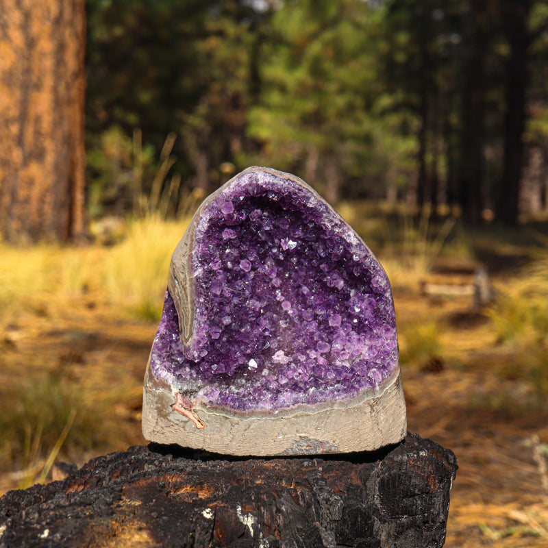 Amethyst Geode