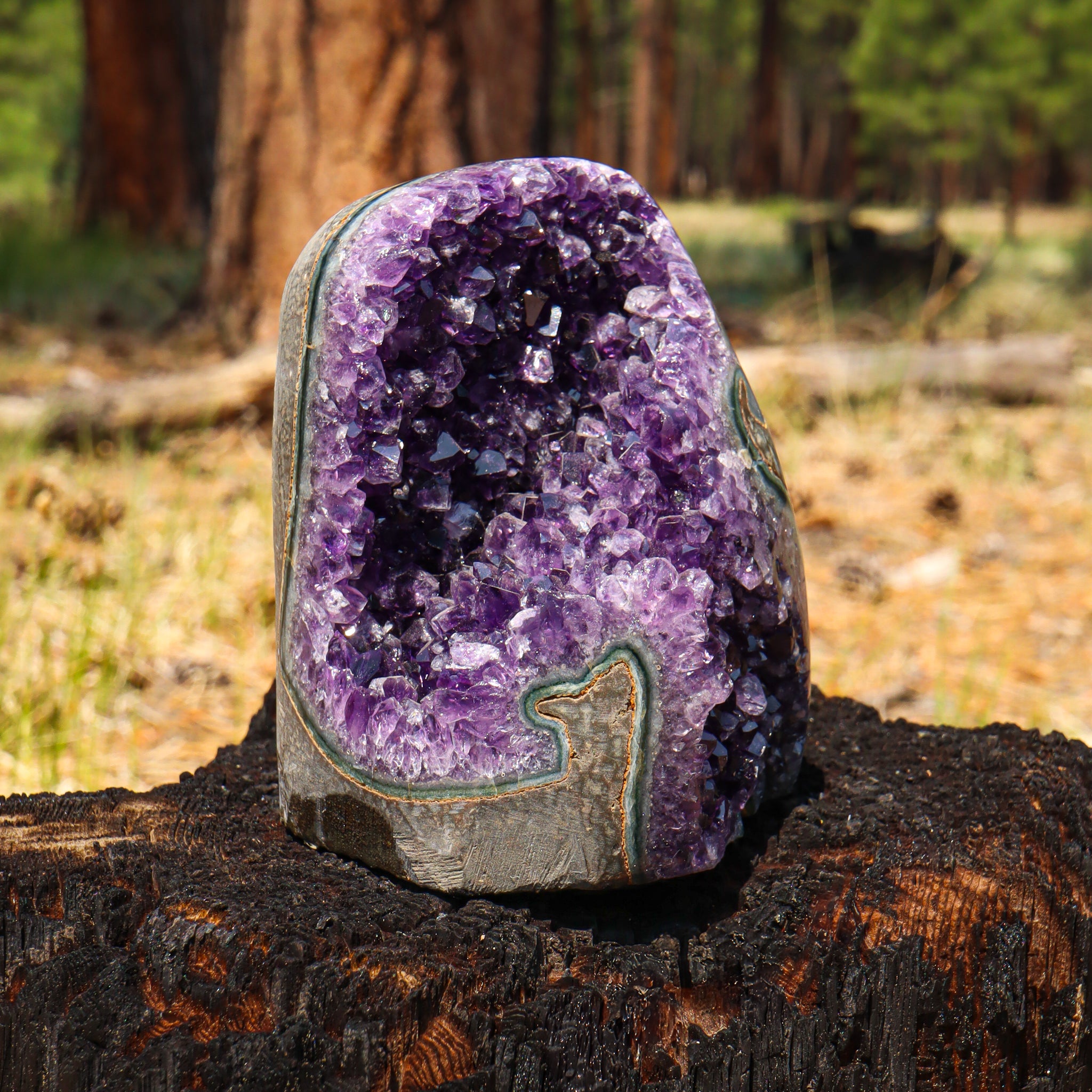 Amethyst Geode