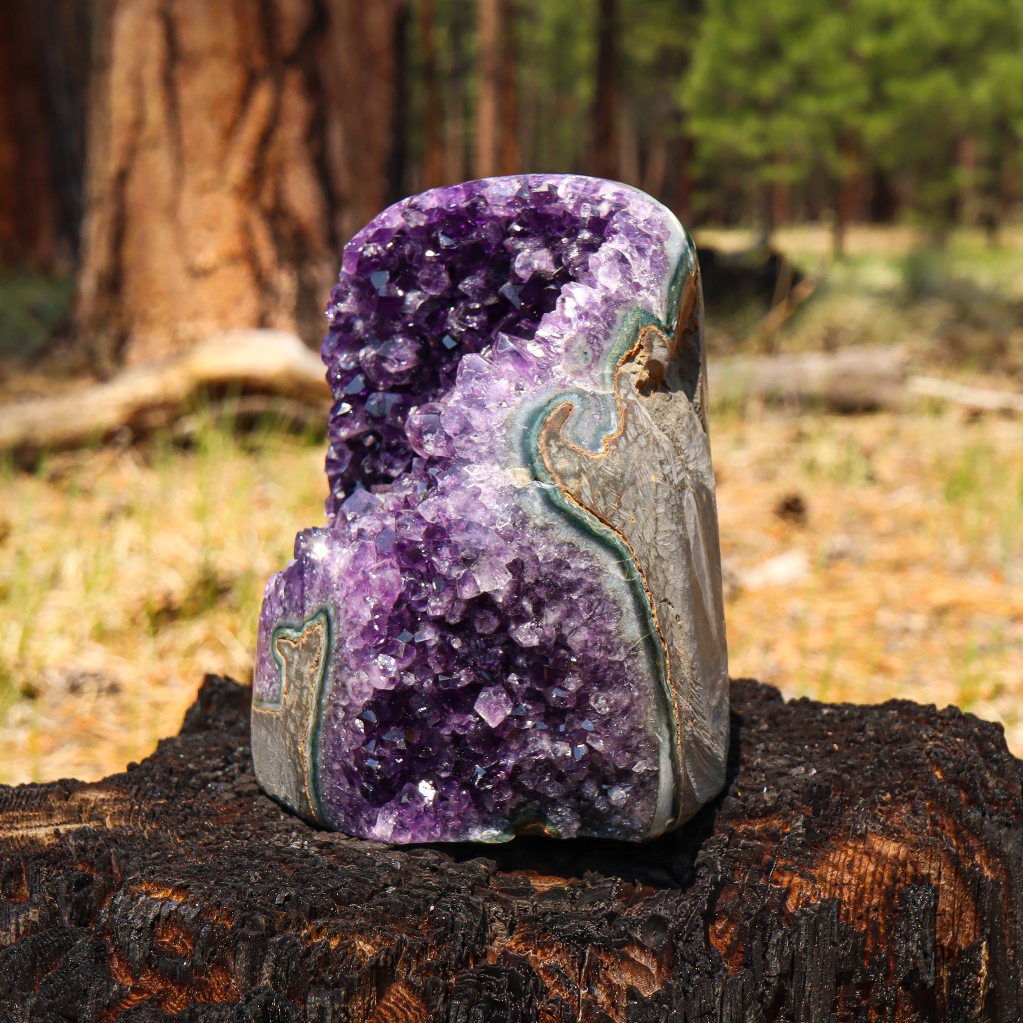 Amethyst Geode