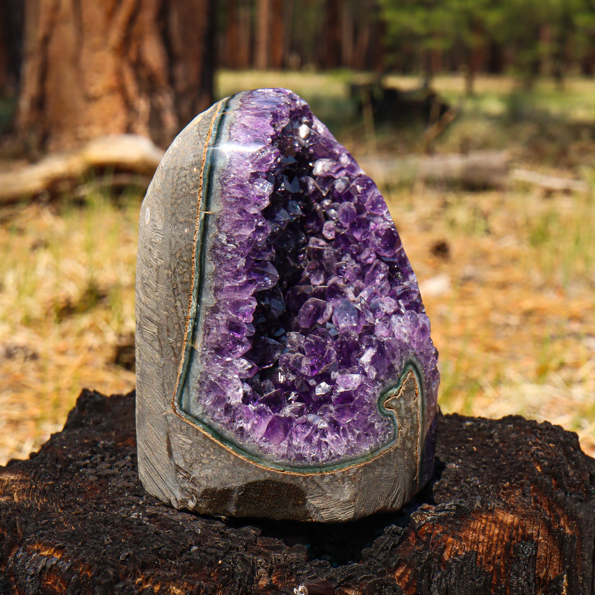 Amethyst Geode