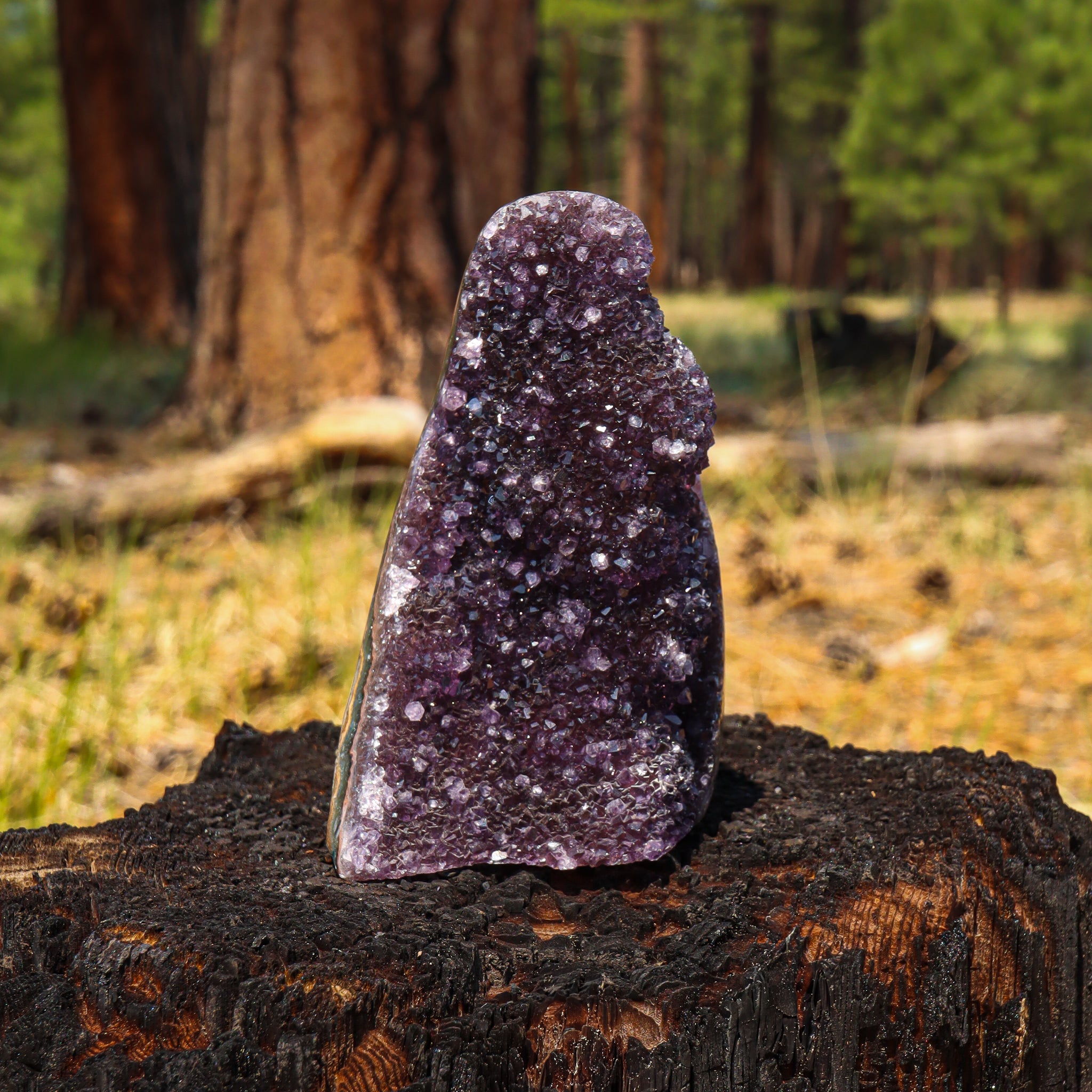 Amethyst Geode